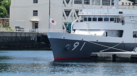 17-1100 (39)