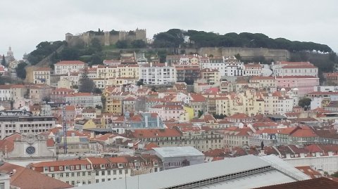 1321 (16)