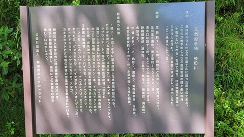 12-1241 (36)