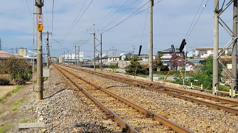 10-1131 (5)