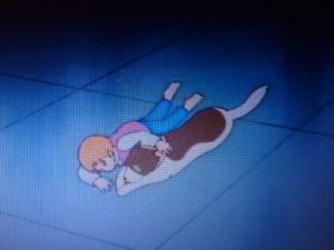 ¥Õ¥é¥ó¥À¡¼¥¹ (9)