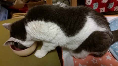 2246