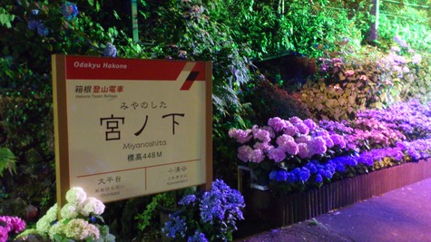 MIYANOSHITA