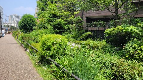 09-1035 (3)