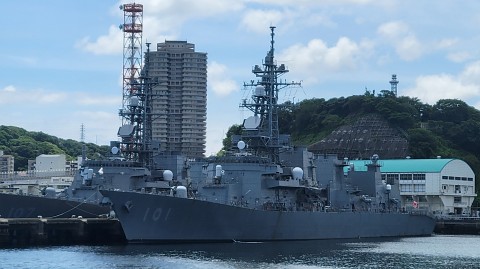17-1100 (42)