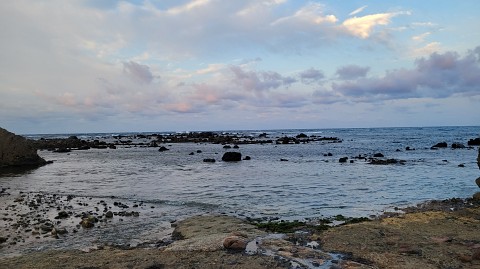 01-0517 (6)