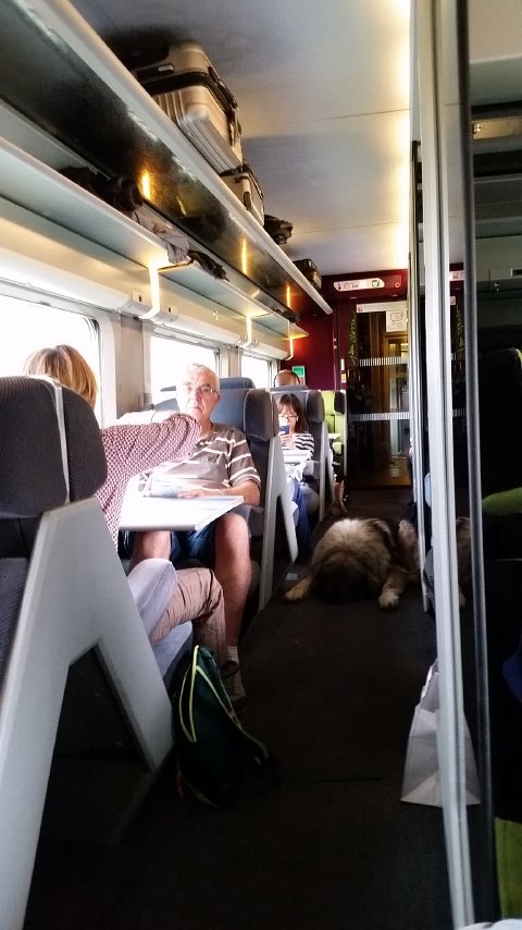 1214 (1)