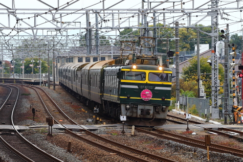 1230 (1)