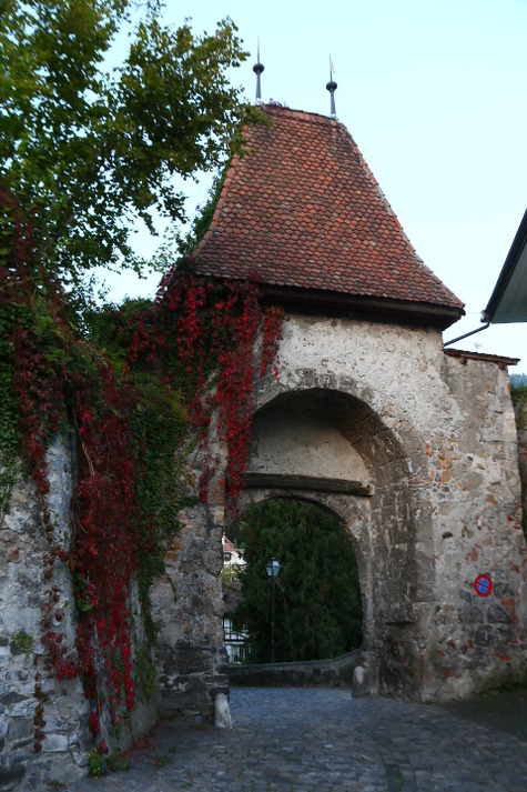 1735 (41)