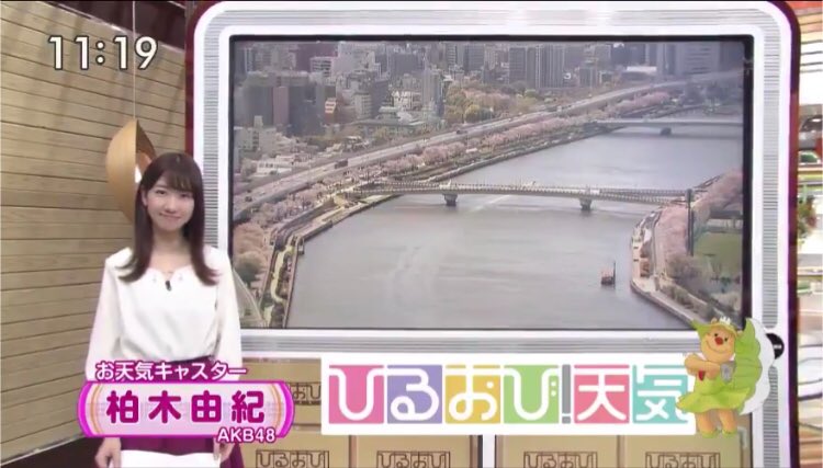 Akb48 鼻ニンニクでおなじみ柏木由紀 気象予報士合格の武藤十夢にライバル心 お天気キャスター バトンタッチ拒否 一生やります アイドル整形 美容まとめ Akb48 鼻ニンニクでおなじみ柏木由紀 気象予報士合格の武藤十夢にライバル心 お天気キャスター バトンタッチ拒否 一生やります アイドル整形 美容まとめ