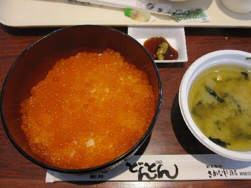 アクアワールド大洗 まぐろ どんどん Youのblog