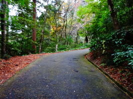DSC06818