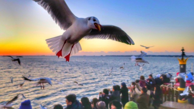 ��̾��ͷ�����������νХ��롼��