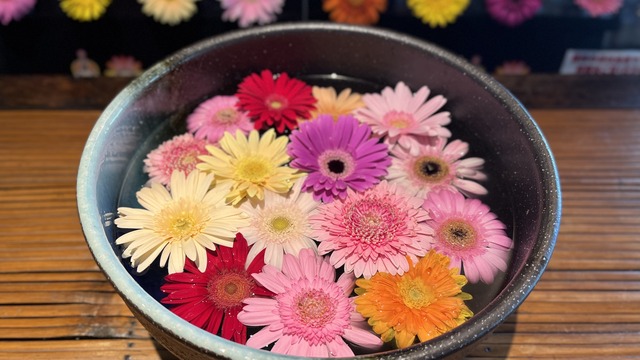 �;�PC�����٥�