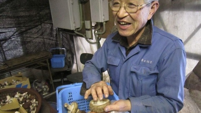 静岡県人生区分