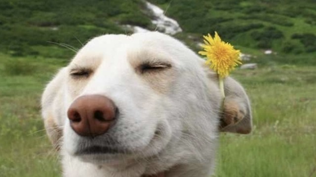 C690D183-CD9F-41B3-A35E-034A111ED62B