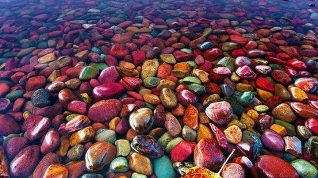 880AD7CB-BED7-465D-8722-B00D081958AF