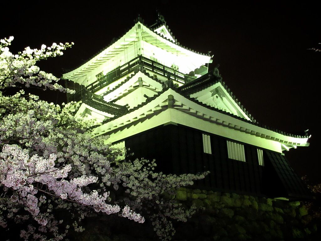 浜松城天守門が完成し 桜満開の花見で賑わい 我ら 地域の仕掛け人