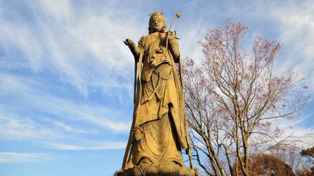 ��ƶ���ܻ���