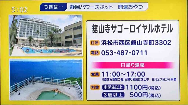 絶景温泉は浜名湖のサゴーロイヤルホテル