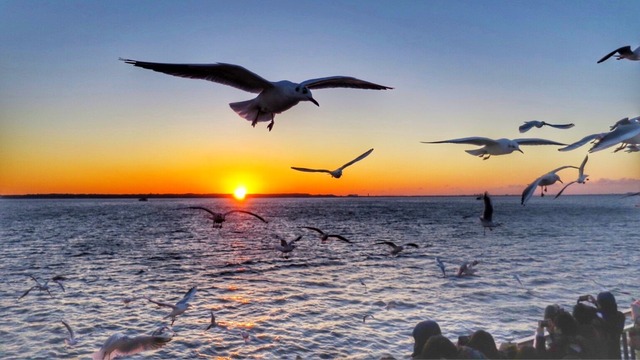 浜名湖遊覧船:初日の出クルーズ