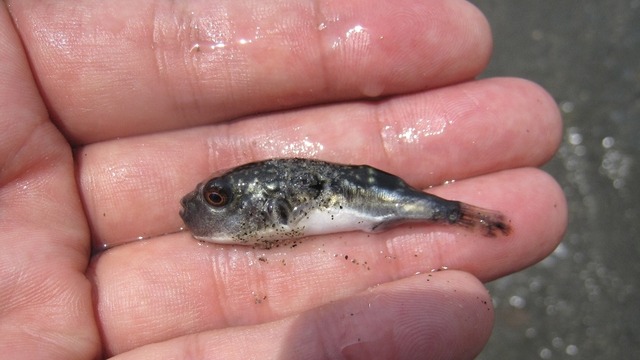 53E3FDC1-A779-4ABF-A1F6-7F561E7C63B7