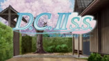 D.C.S.S