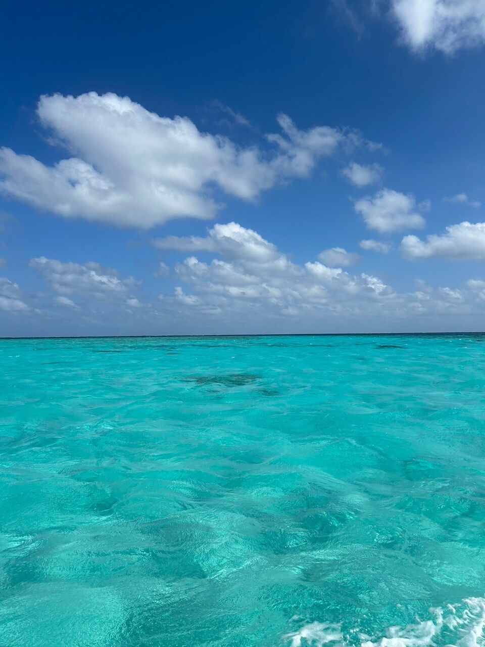 LINE_ALBUM_�ܸ��硡������🥭_241111_31 - �����