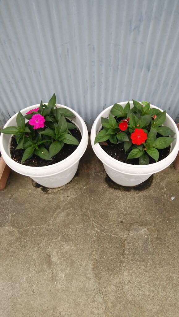 第1回 Art Street新機能広めたいコンテスト テーマ Art Street Ranking アート コンペ コンテスト 公募 コンクールのポータルサイト コンペナビ