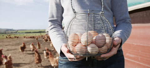 reduce-risk-with-a-diversified-investment-portfolio