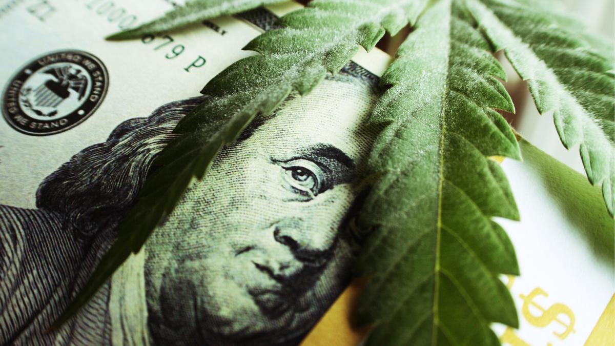 株 大麻