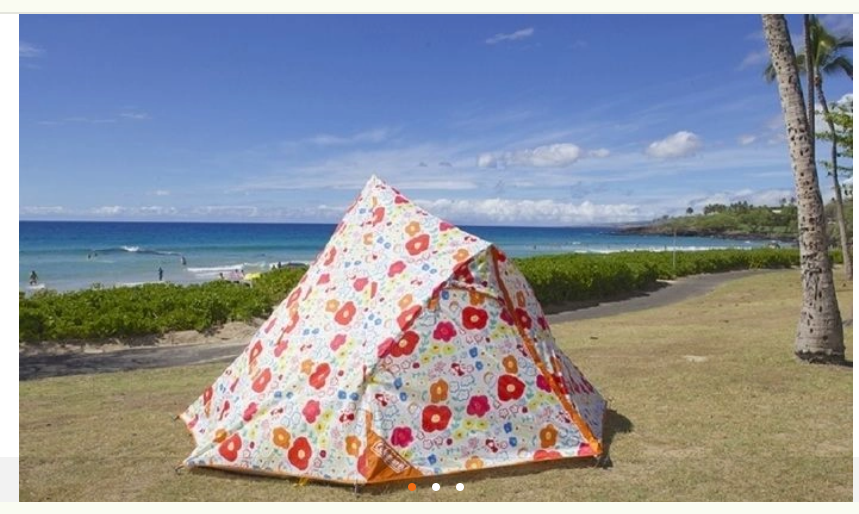 【美品】Coleman x CHACO ティピーテント フラワー コールマン 美品】Coleman x CHACO ティピーテント フラワー コールマン