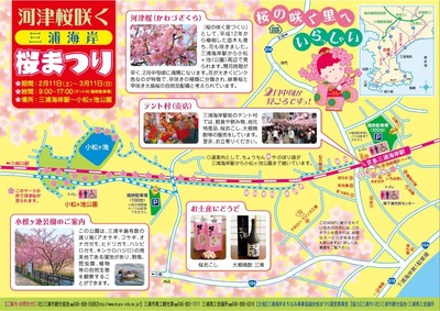 2012_sakura_tirasi_omote