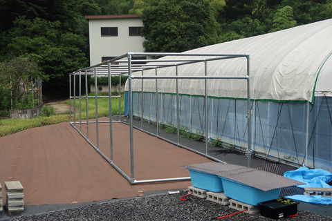 単管パイプ小屋 : 温泉めだかのブログ
