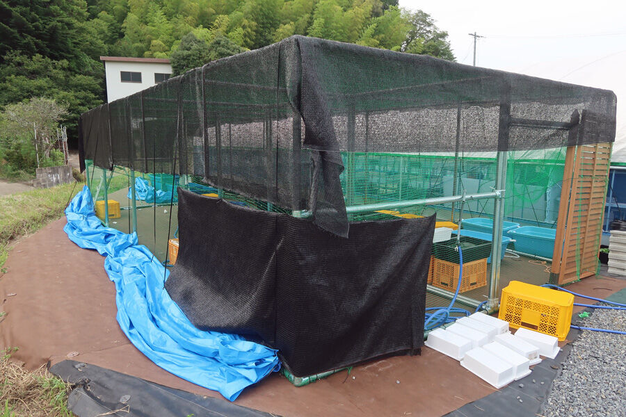 続 屋根を考える : 温泉めだかのブログ 