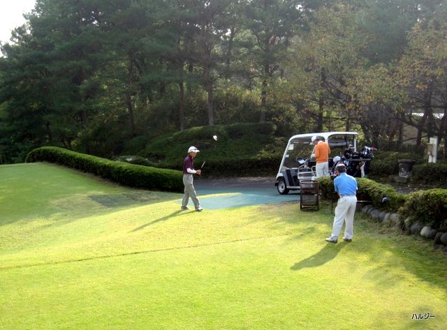 ゴルフ反省日記 ニューセントラルゴルフ倶楽部 温泉大好き人間 ハルジー