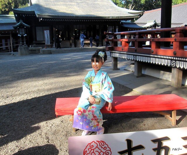 七五三詣で 武蔵一宮 氷川神社 へ 温泉大好き人間 ハルジー 七五三詣で 武蔵一宮 氷川神社 へ 温泉大好き人間 ハルジー