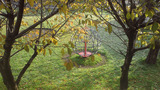 jg-autumn