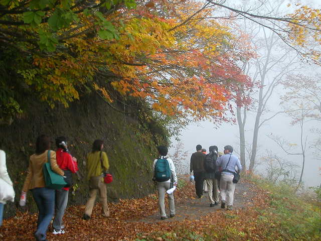 �ϸ�����ƻ��01