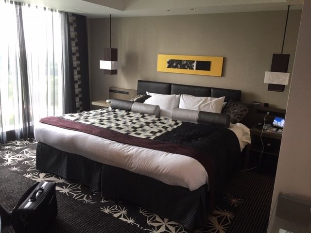 20190826�ۥƥ�˥塼�������ˣ�