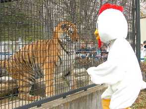 長野県 茶臼山動物園 温泉ソムリエのブログ