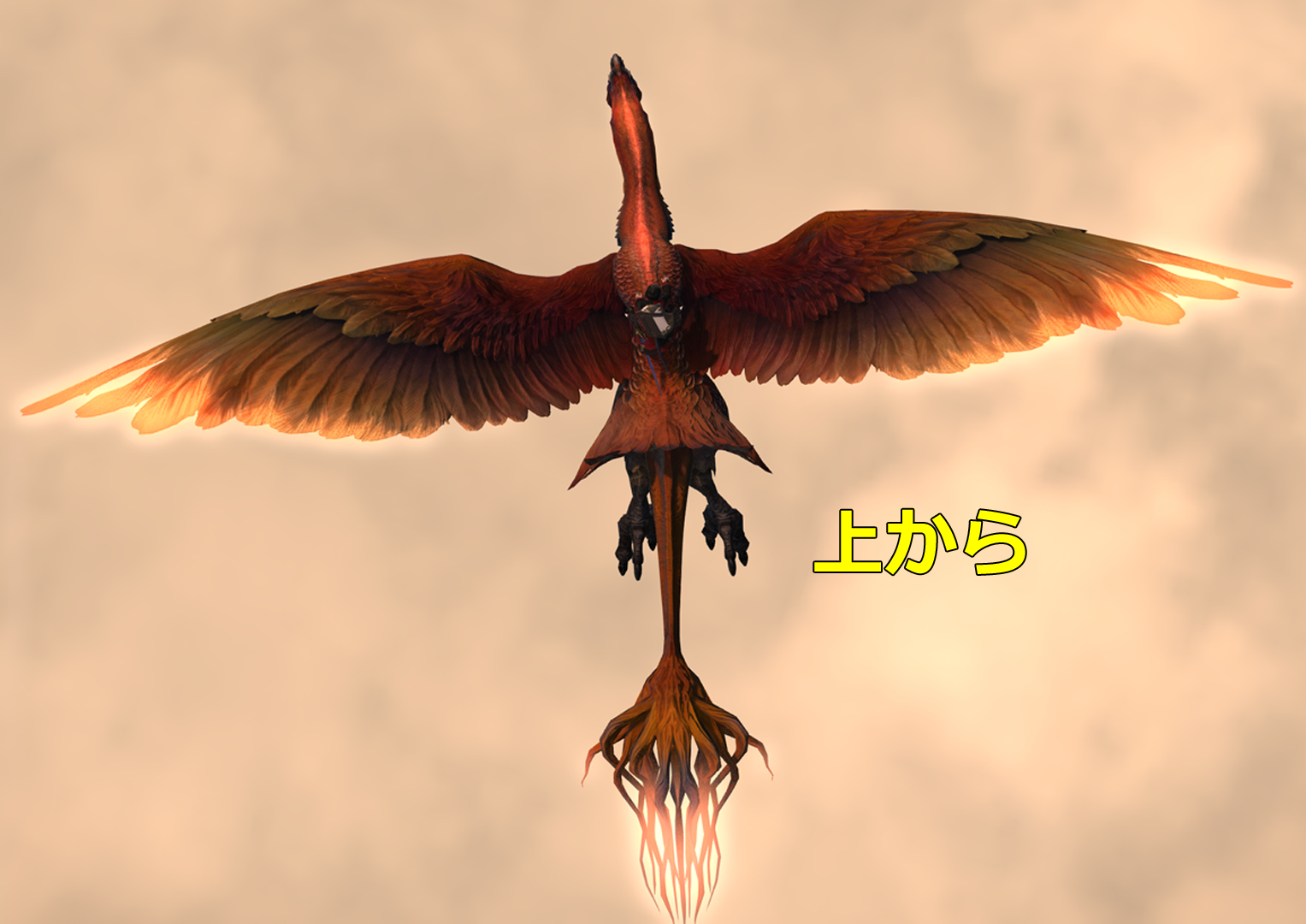 しんたま ベンヌ ところでベンヌって何ですか しんたま ベンヌ ところでベンヌって何ですか
