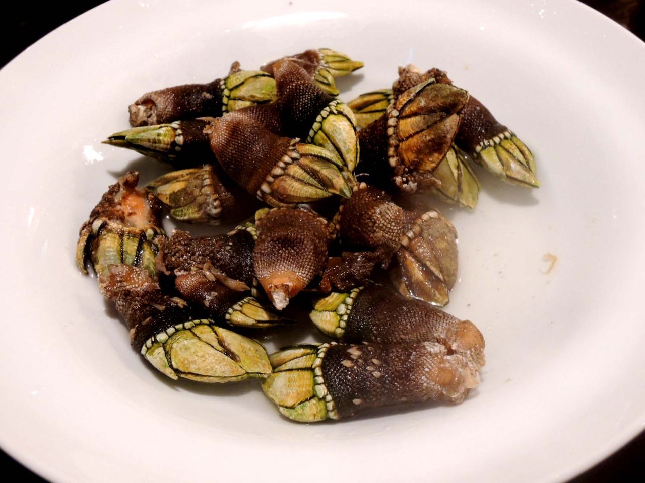 スペイン料理 天の川 つぶあんな週末 スペイン料理 天の川 つぶあんな週末