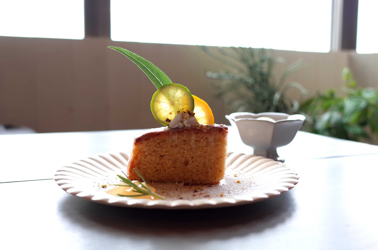 新しい到着 徳島産すだち 酢橘 地元 袋 消費税込み 送料無料 L 3l