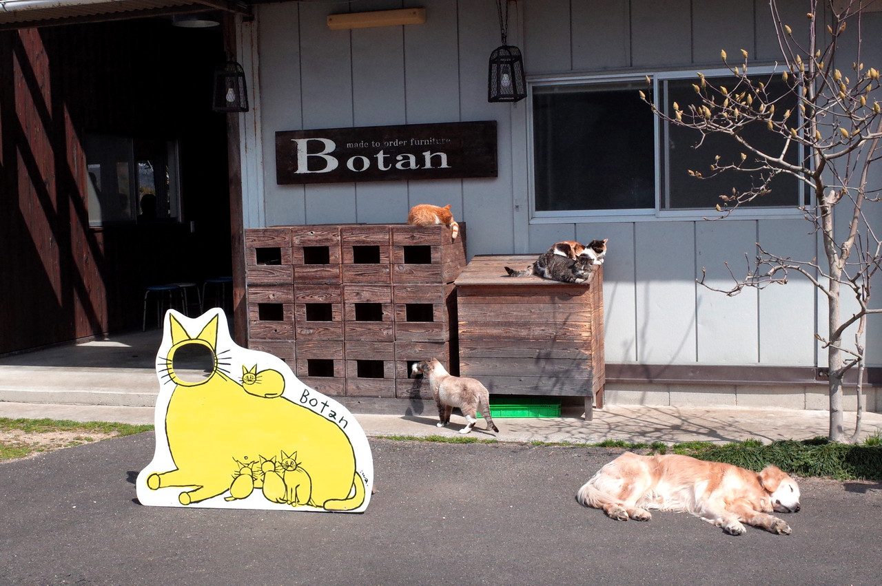 お菓子工房botan つぶあんな週末