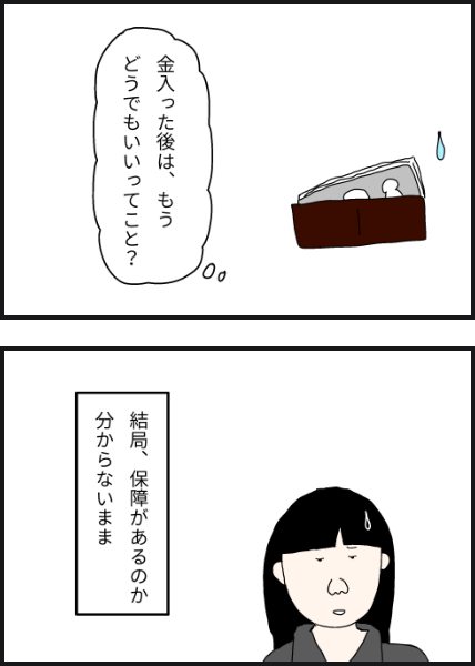 e11003