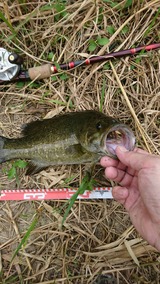 9E977757-C546-4B43-BF82-C3A5FBD01B0D