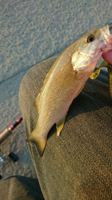 87A4E7B6-50E5-49E6-9950-F29A3921B8DE