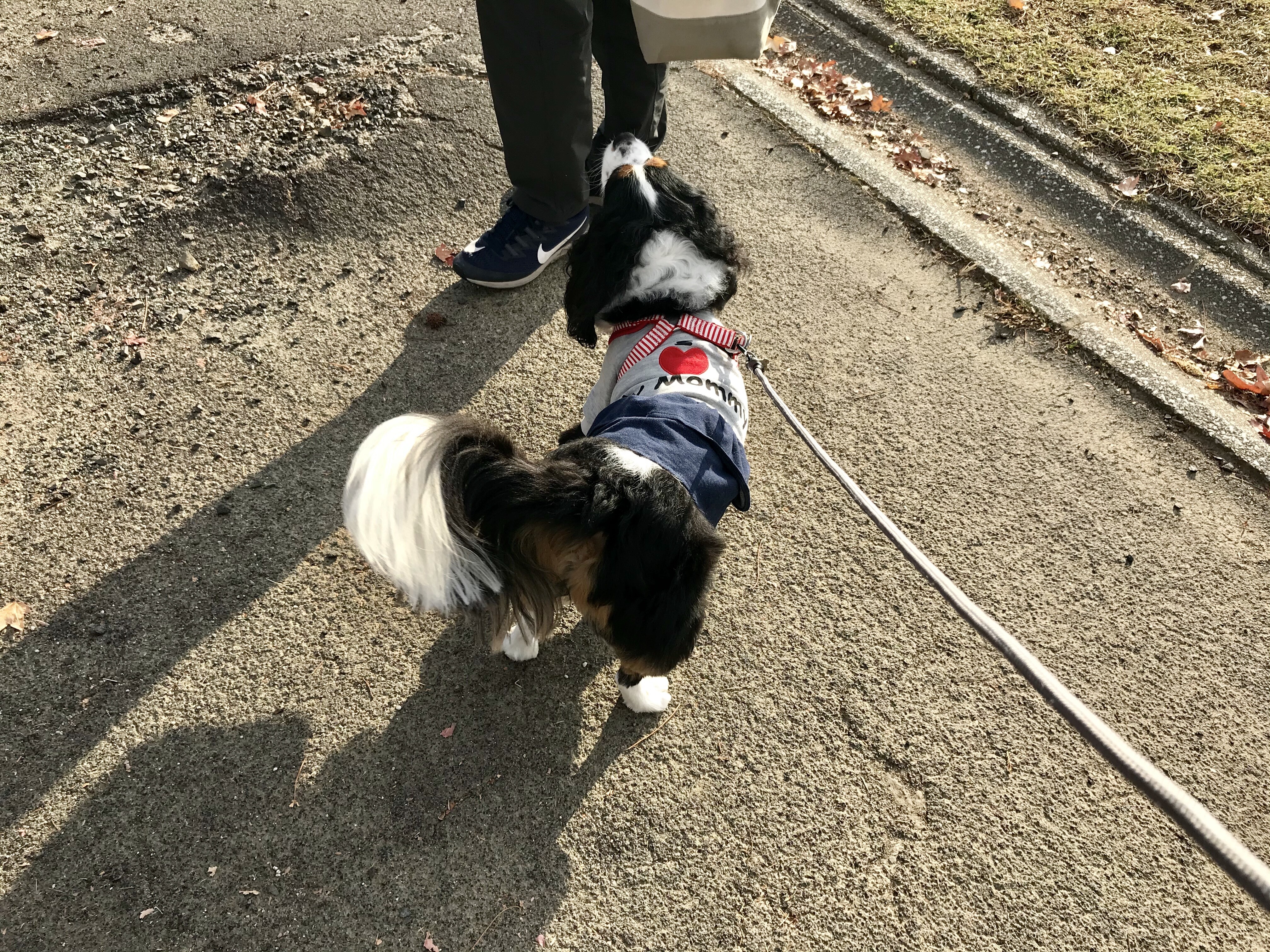 5号の服は どれも小さい 短すぎるし W イヌじゃないの ムスメなの