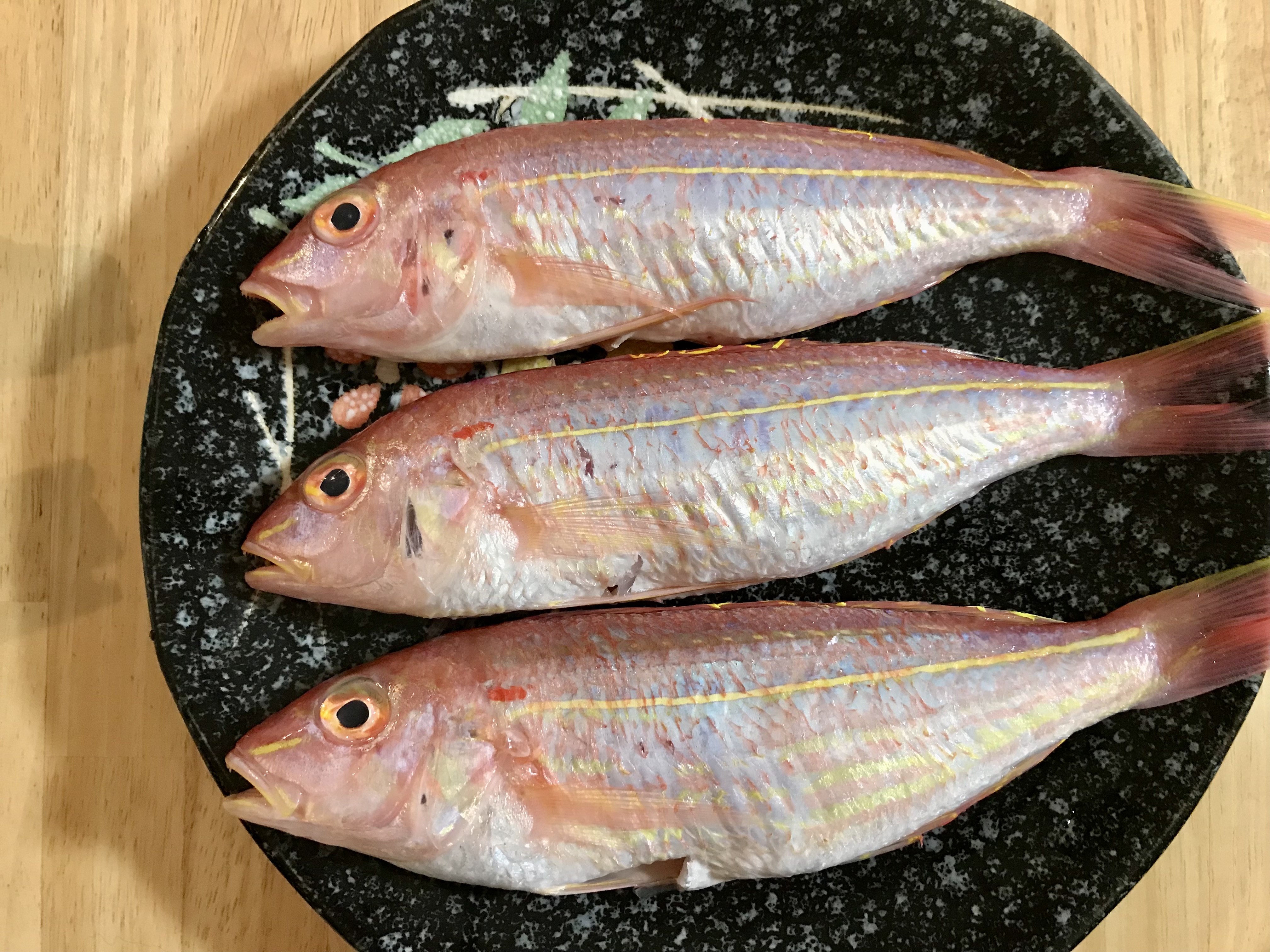 食の嗜好 におい嗅ぎが好きすぎて イヌじゃないの ムスメなの